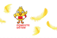 Pořiďte si peříčkovou brož online