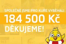 Běžci v Neon Runu pro Kuře vybrali 184 000 Kč