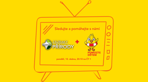 Sledujte Kuře v televizi na Velikonoční pondělí💛