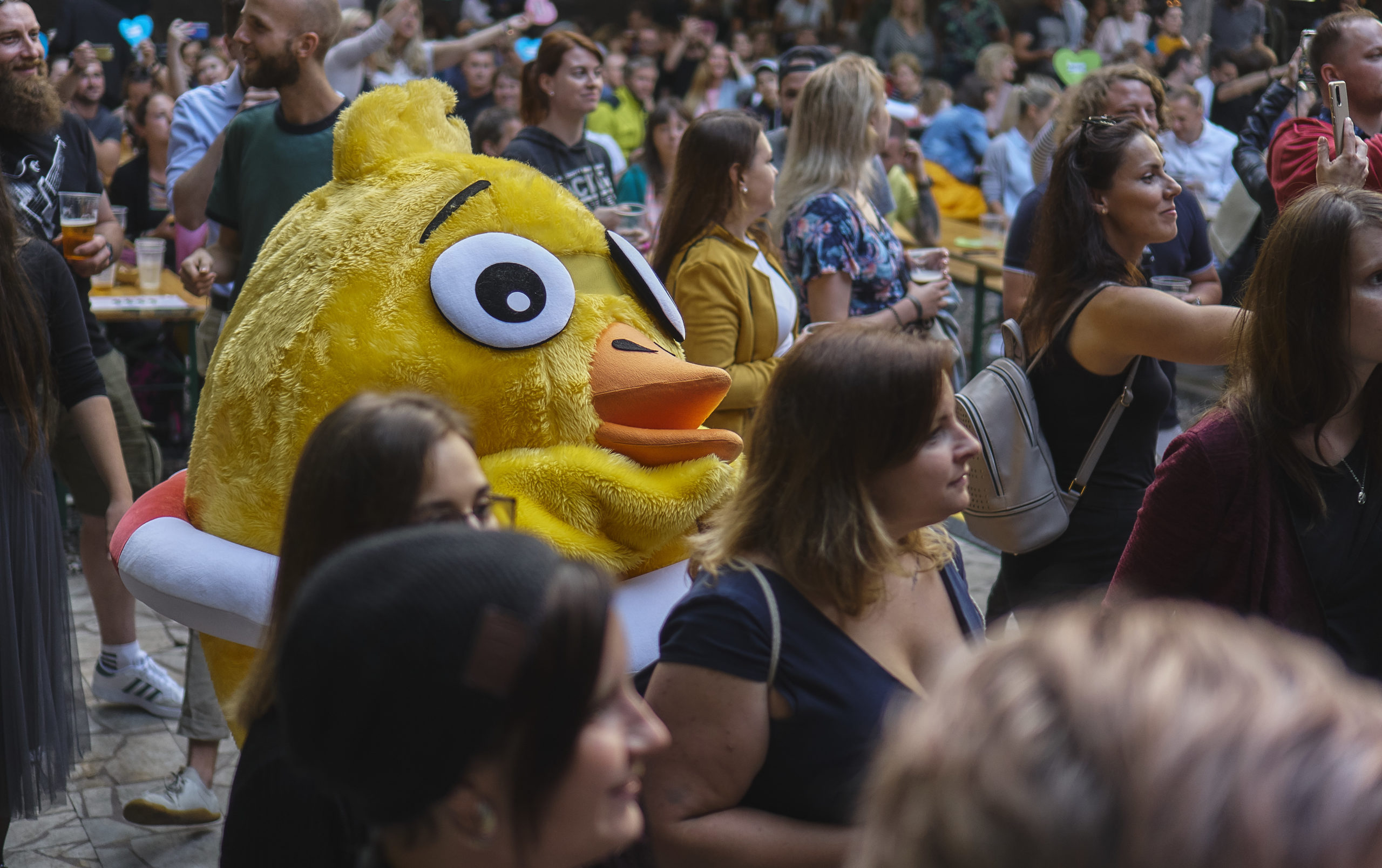 Potkejte se s Kuřetem: příležitostí je plno